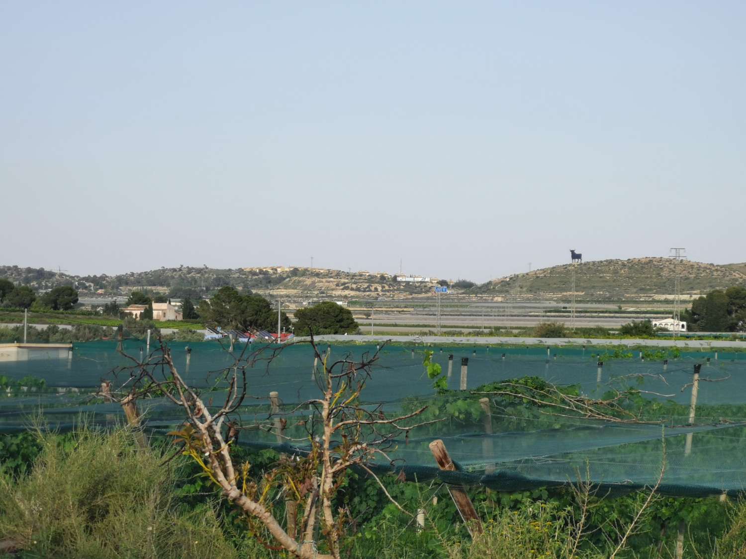 Parcelle en vente à Monforte del Cid